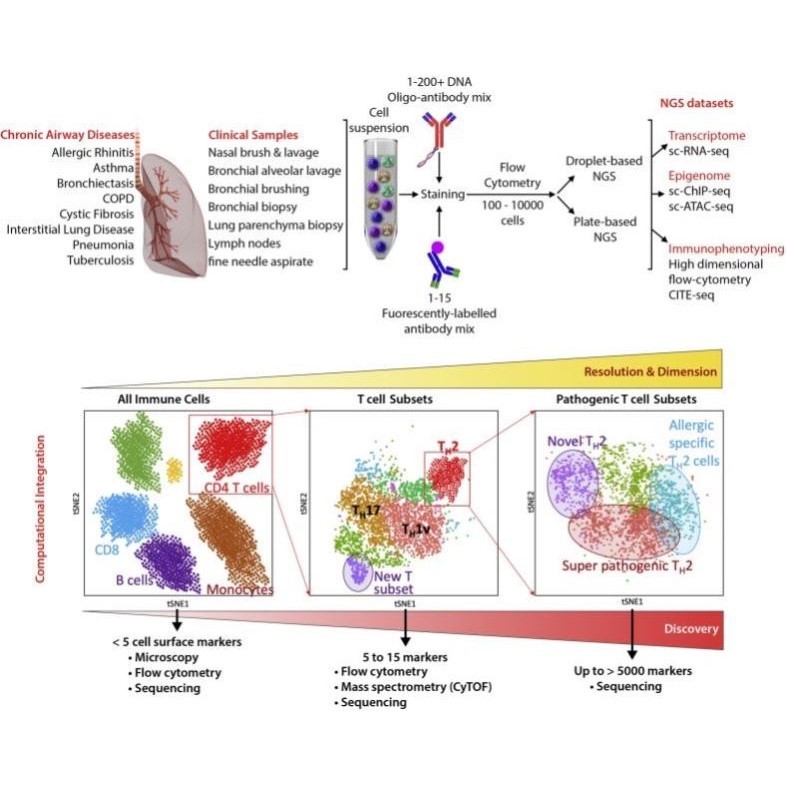 单细胞数据分析 生信分析 孟德尔随机化 药物靶点 ldsc