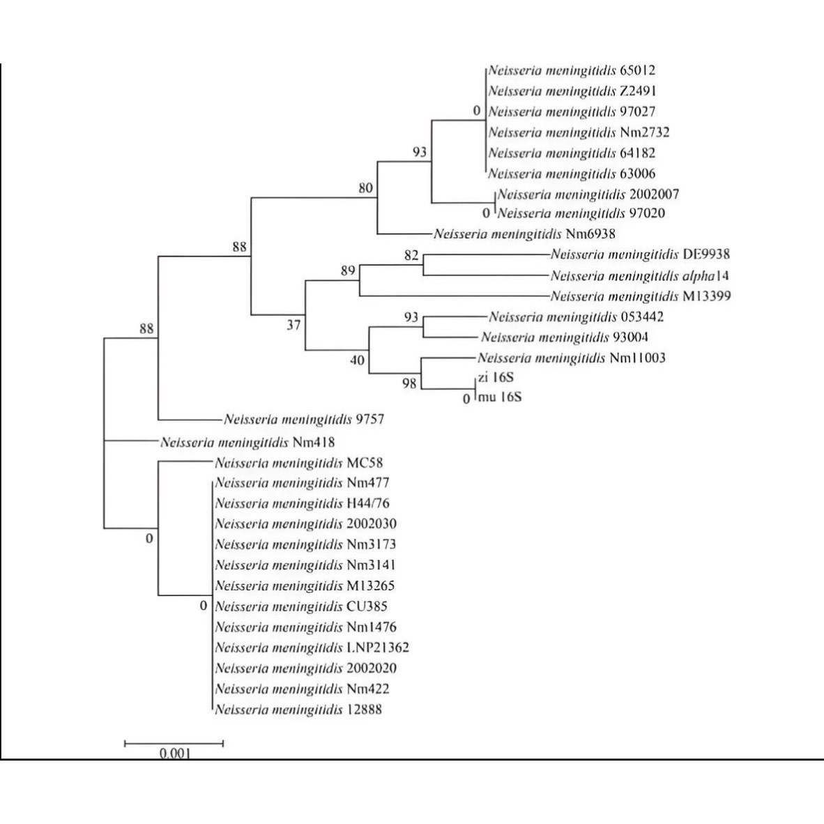 分子对接 代算服务  蛋白对接互作 分子动力学 Gromacs lammps MD