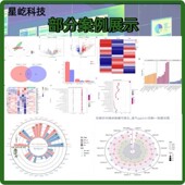 R语言代码 Rstudio绘图SCI科研生信医学桑基热图数据分析作图
