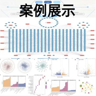 转录组分析药物敏感性GDSC CTRP 数据库 肿瘤药敏预测