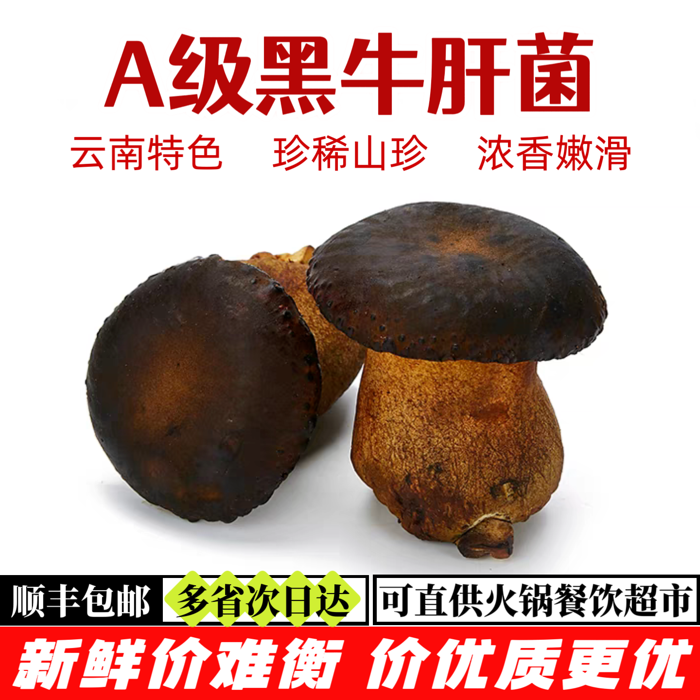 新鲜黑牛肝菌【顺丰包邮】云南牛肝菌新鲜 肉厚鲜嫩 炒菜炖汤火锅,水产肉类/新鲜蔬果/熟食,新鲜松茸/菌菇,淘宝优惠券,粉丝福利购,淘宝优惠卷