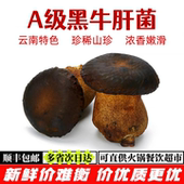 顺丰 包邮 云南牛肝菌新鲜 新鲜黑牛肝菌 肉厚鲜嫩 炒菜炖汤火锅
