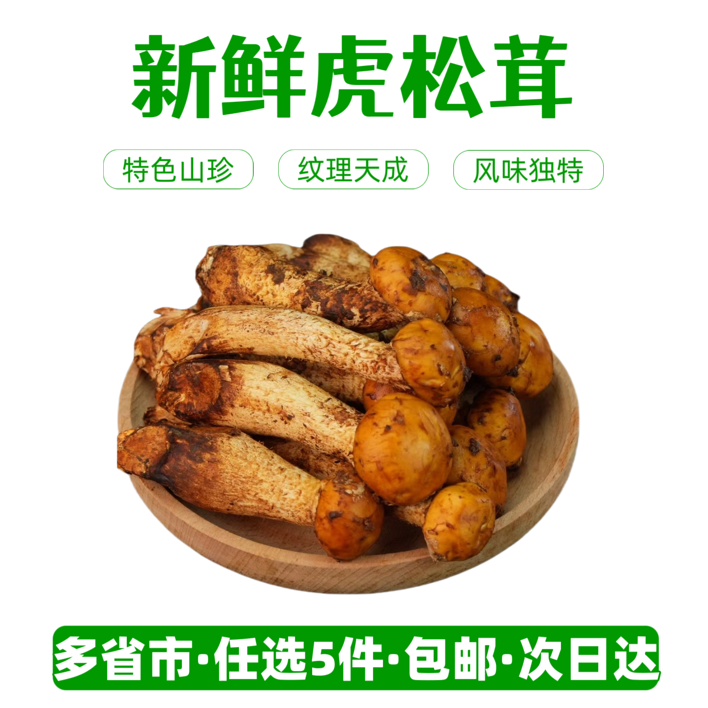 新鲜A级虎松茸【任选5件包邮】云南特色菌菇 风味独特 火锅食材