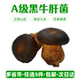 包邮 新鲜黑牛肝菌 任选五件 云南见手青菌菇肉厚鲜嫩火锅食材