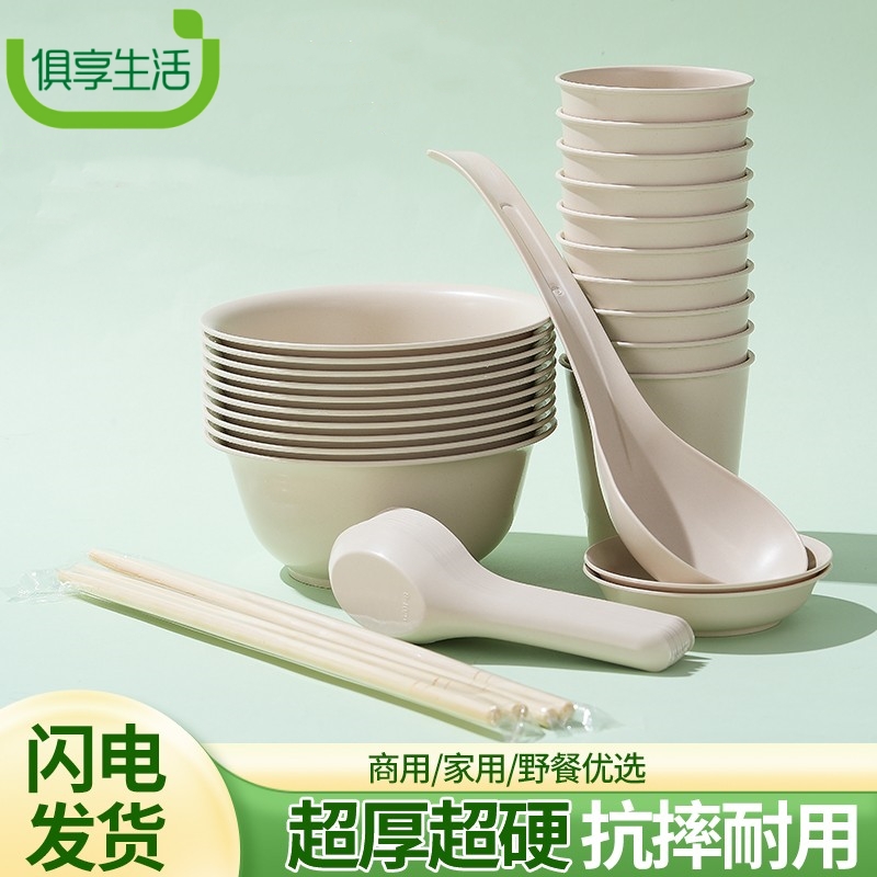 一次性餐具组合包装批发茶杯厂家直销家用商用批发户外碗筷杯套装