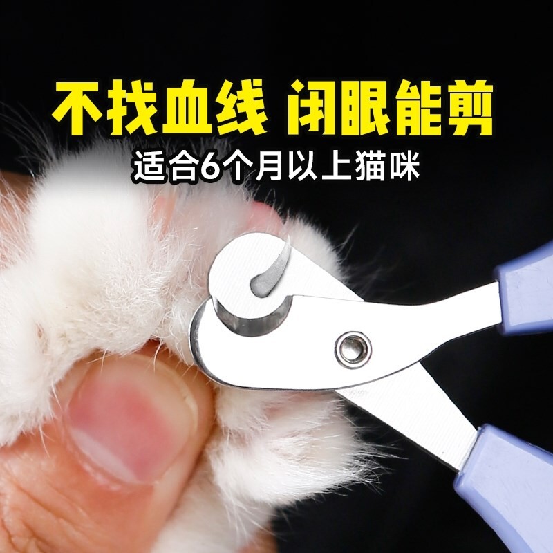 猫指甲剪小盲剪新手宠物指甲钳防出血猫咪指甲刀幼猫兔子剪圆