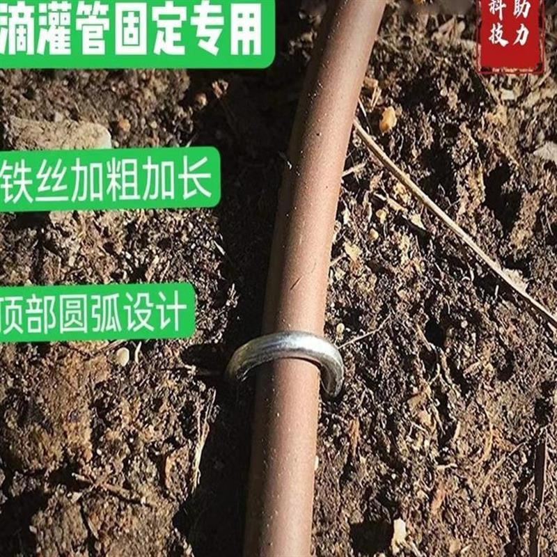 滴灌管铁丝卡子固定器地钉加粗镀锌草坪大棚实用园艺工具订制热卖
