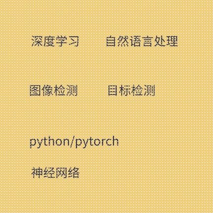 Python深度学习机器学习神经网络代做目标检测语义分割NLP