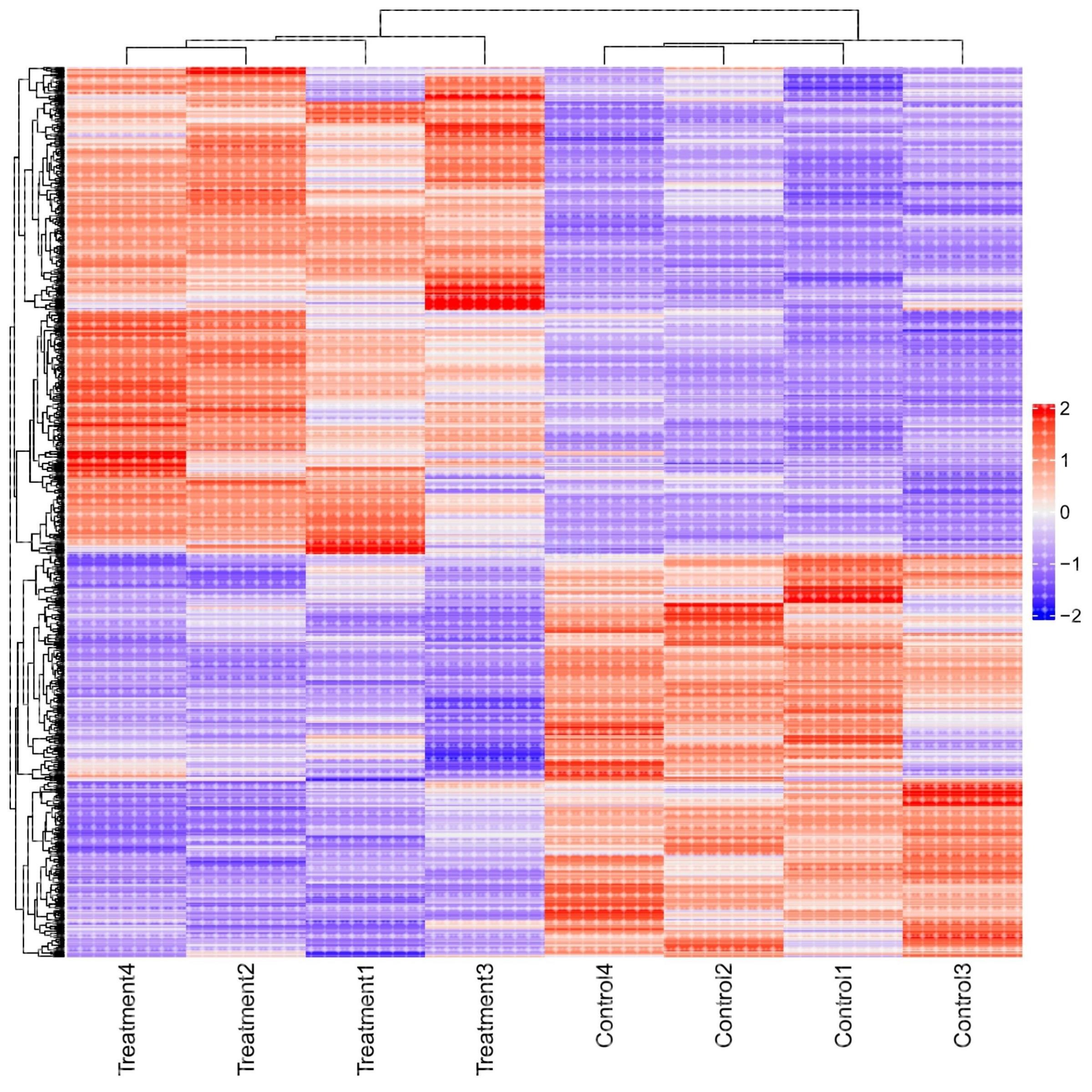 GEO TCGA数据库下载挖掘生信分析 差异基因富集分析 火山图网络图