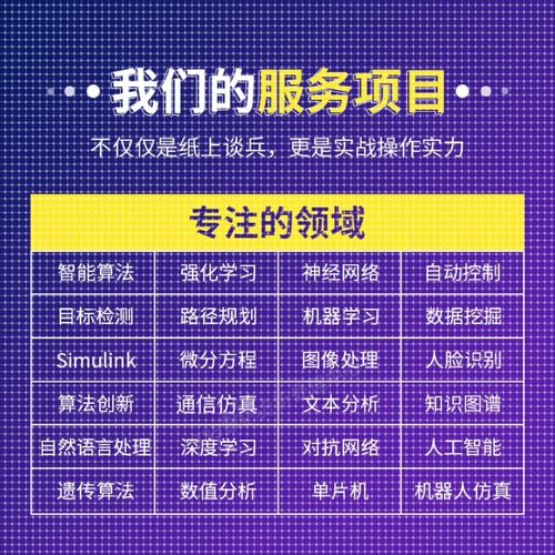 Matlab程序代编微分方程python代编算法优化控制电气仿真图像处理