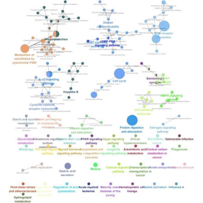 生信分析网络药理学孟德尔随机化MR实验外包标书单细胞转录组科研