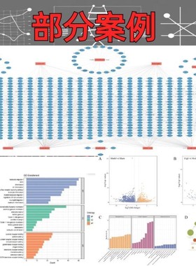 生信分析服务TCGA GEO数据库挖掘细胞测序转录组分析多组学分析
