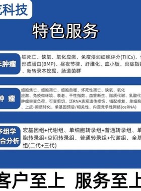 生信+免疫组化(IHC)验证蛋白定位表达硕博团队包原始图