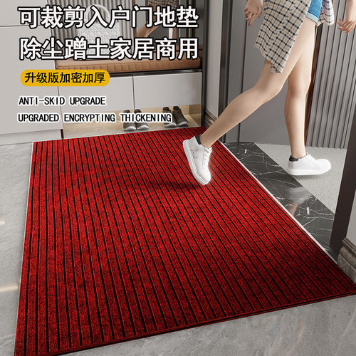 菲律宾地毯脚垫地垫卫生间厨房防滑垫防油入户门除尘家用垫进门吸