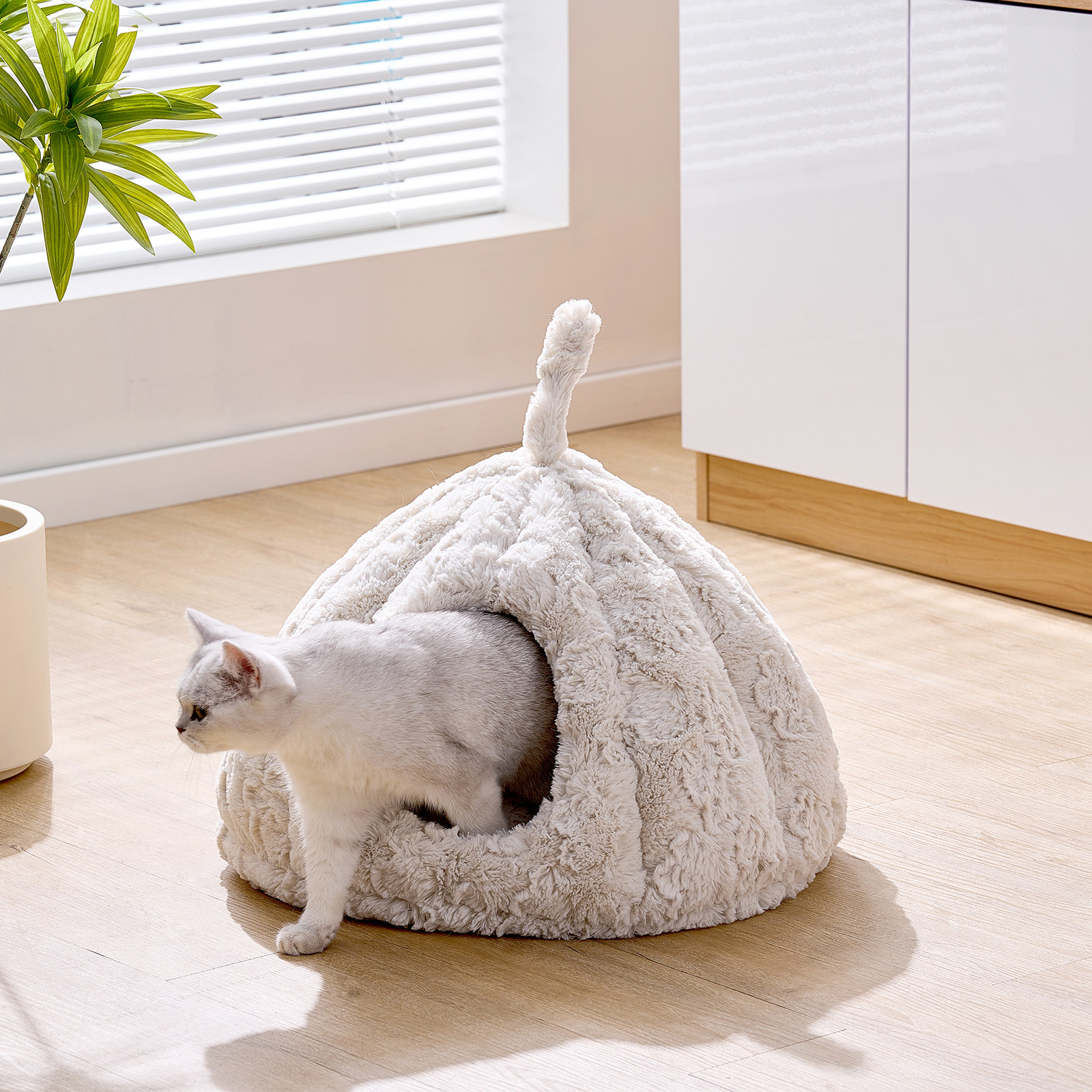 catry凯瑞 加大圆形猫窝可拆洗封闭式冬季加厚保暖宠物窝垫猫用品,宠物/宠物食品及用品,猫窝/屋/帐篷/沙发,淘宝优惠券,粉丝福利购,淘宝优惠卷