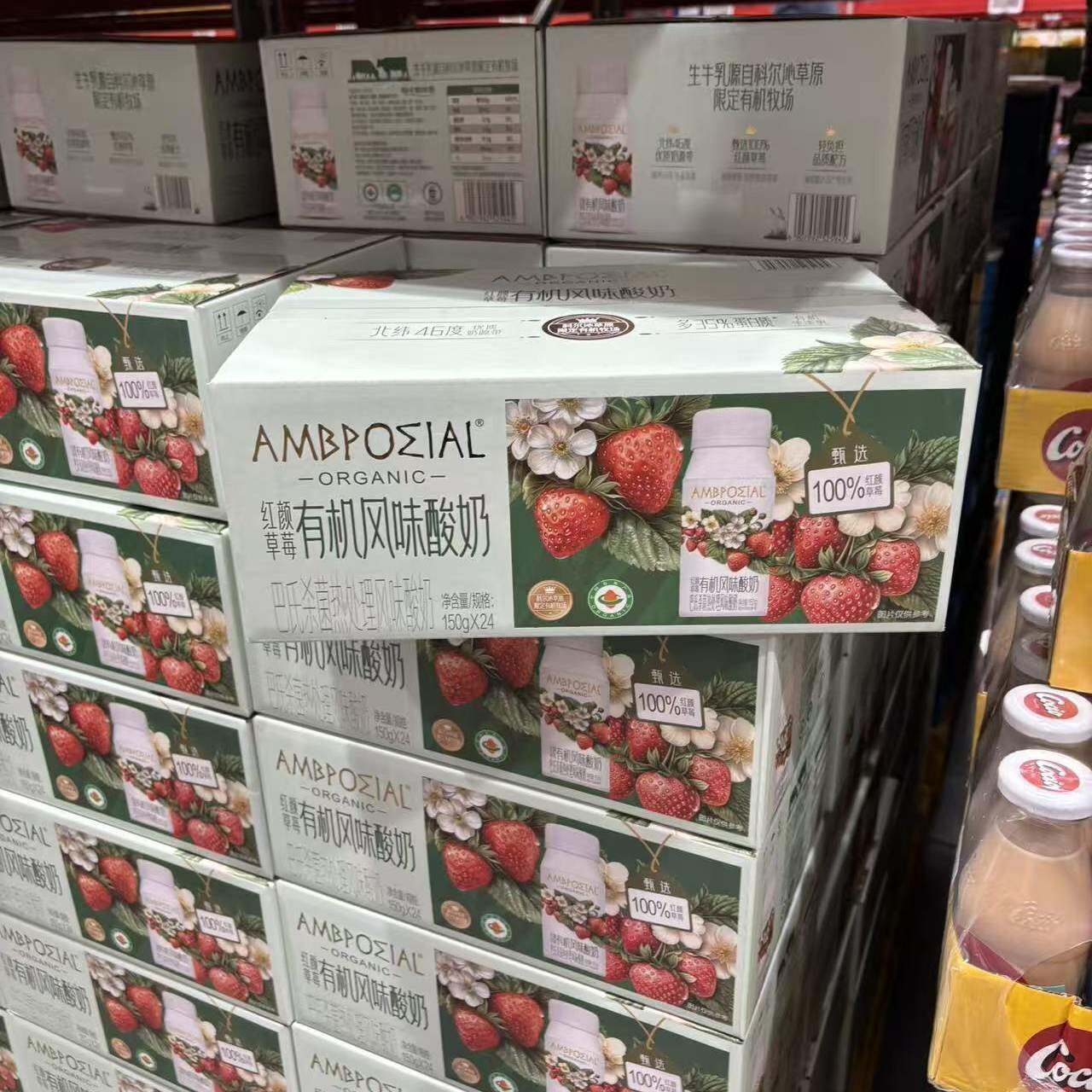 山姆代购红颜草莓有机风味酸奶150g*24瓶巴氏杀菌热处理风味