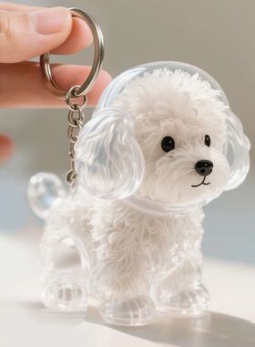 小狗毛发收集器可爱毛发收纳创意钥匙扣狗狗透明毛球挂件宠物