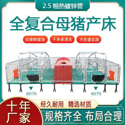 带粪板母猪限位栏落地式简易产床栏加厚热镀锌母猪定位栏养殖设备
