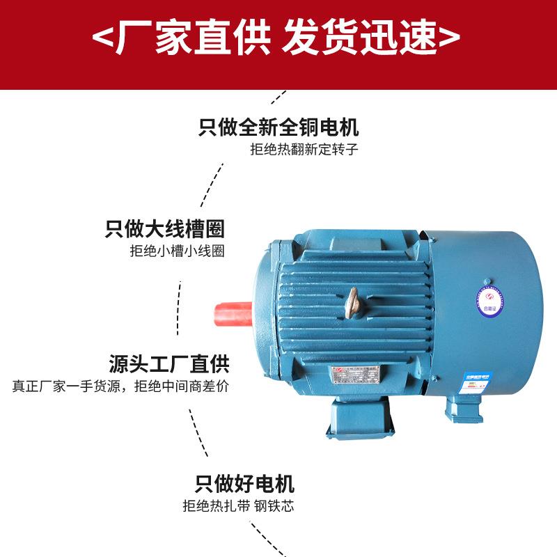 厂家直售Y2VP/YVF2系列变频调速三相异步电机