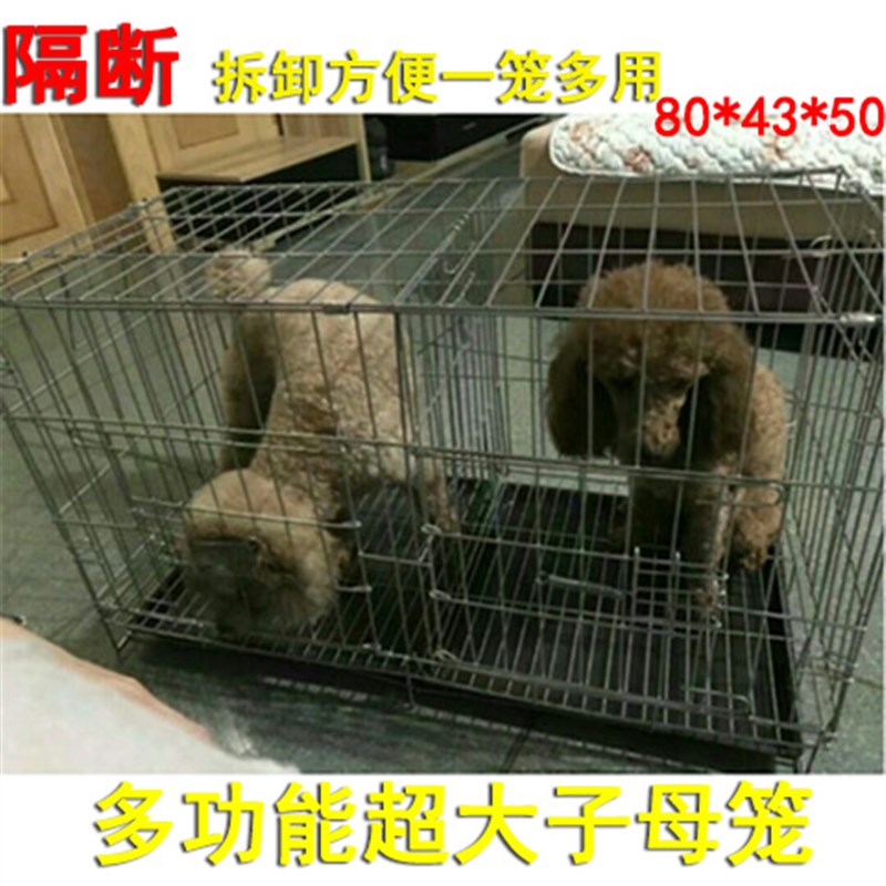 狗笼子小型犬泰迪带厕所垫板双门子母狗笼带隔断中间单层兔笼猫笼