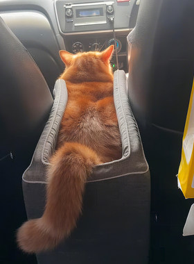 宠物座椅|猫咪出行宠物车载垫中控窝小型犬外出前后排坐车垫