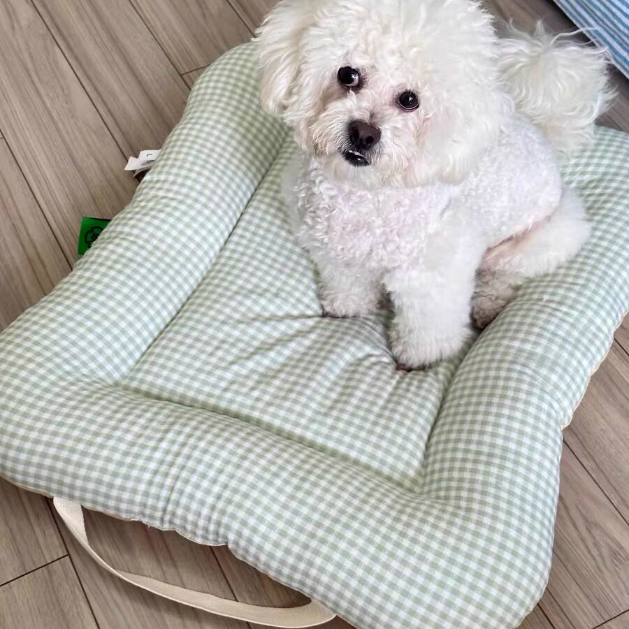 垫子宠物用冰垫四季通用睡垫凉席专用汽车狗狗睡觉垫子夏天凉垫窝