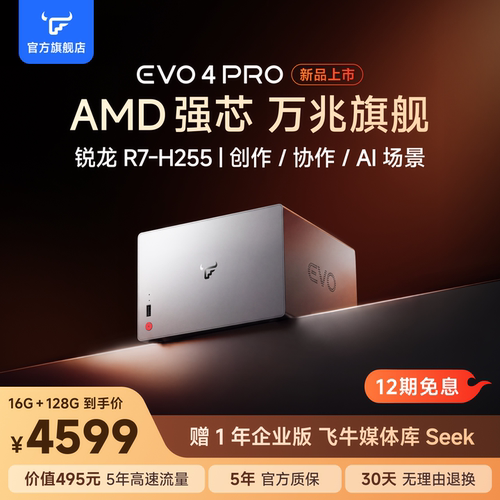飞牛四盘位万兆nasEVO4PROH255