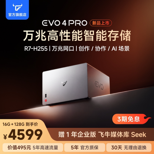 飞牛四盘位万兆nasEVO4PROH255