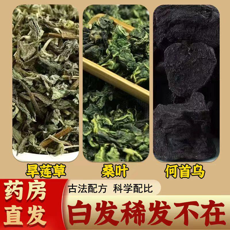 墨旱莲首乌桑叶茶无硫中药材养护发滋补养生组合茶正品官方旗舰店