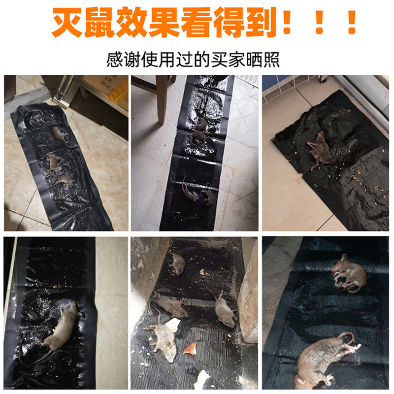 老鼠粘强力粘鼠板捕鼠抓大老鼠魔毯家用强力胶粘粘鼠毯