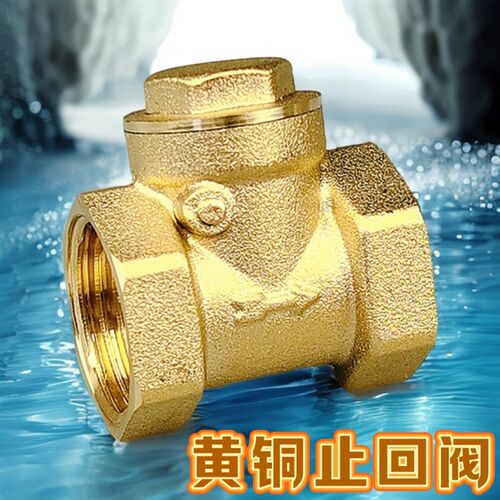全铜止回阀铜卧式4分6分1寸水泵DN15水管20单向阀25阀门32 40 50