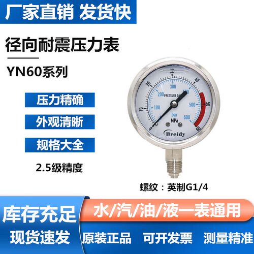 Breidy不锈钢耐震压力表YN60径向压力表油压水压气压G1/4  2.5MPA