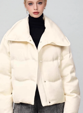 【秀场同款】F家同款 醋酸缎面白色短款泡芙轻通勤立领羽绒服女25