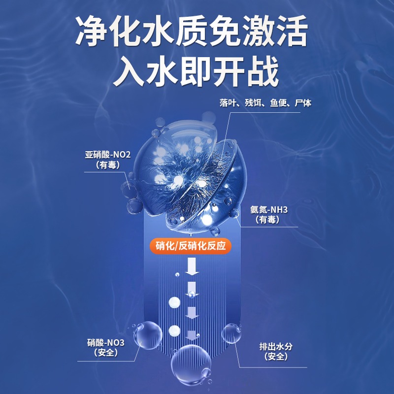 硝化细菌鱼缸专用净水剂改善养鱼水质活菌稳定剂鱼药消化细菌鱼用