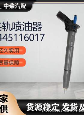 燃油总成柴油发动机零部件0445116017压电喷油器