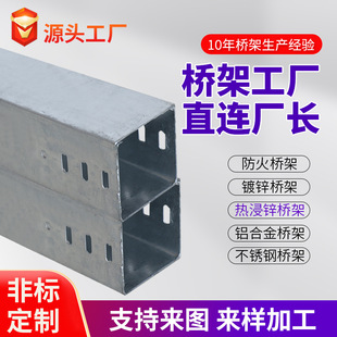 大跨距热浸锌热镀锌桥架电厂化工厂污水处理厂用桥架槽式梯式托盘