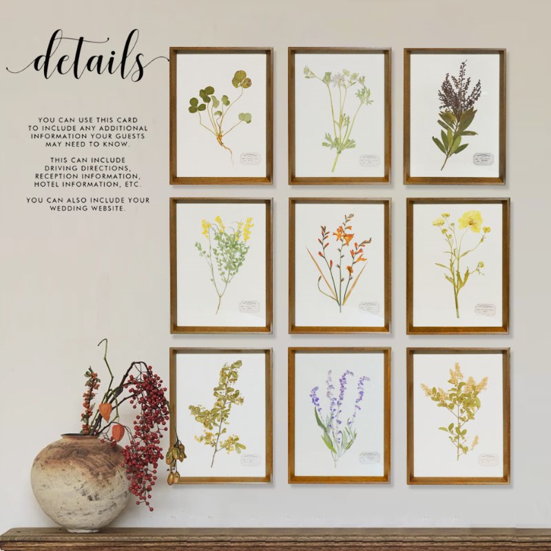 植物标本装饰画照片墙沙发背景墙A押花手作中草药精油树叶花卉挂图片