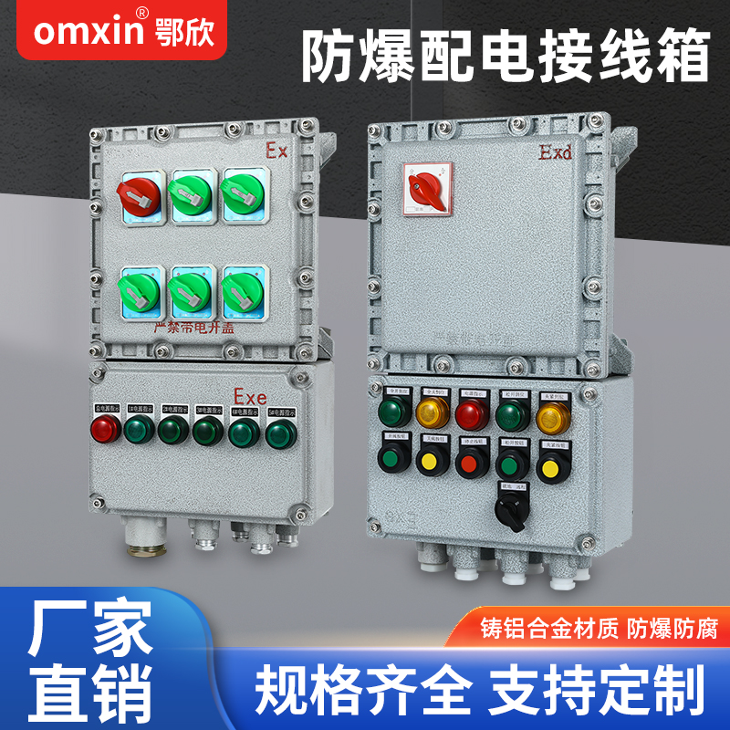 防爆配电箱电源检修控制箱