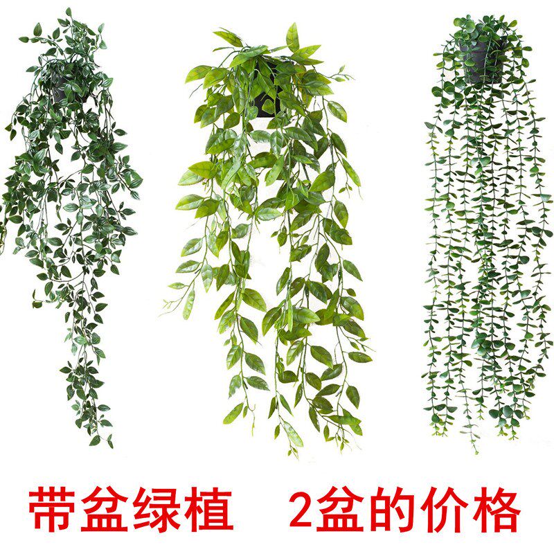 仿真悬挂植物曼陀罗尤加利按树叶绿萝藤蔓假盆栽藤条壁挂玄关装饰
