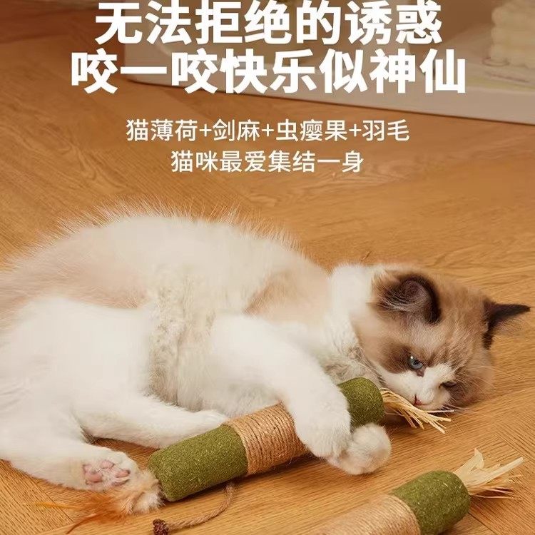 木天蓼猫草虫瘿果羽毛组合猫咪磨牙洁齿解闷神器磨牙棒猫薄荷,宠物/宠物食品及用品,猫薄荷/木天蓼,淘宝优惠券,粉丝福利购,淘宝优惠卷