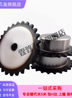 SP40B21-N/S-14/15/16/17/18/19/20/22/24/25/28/30/32/35/40链轮