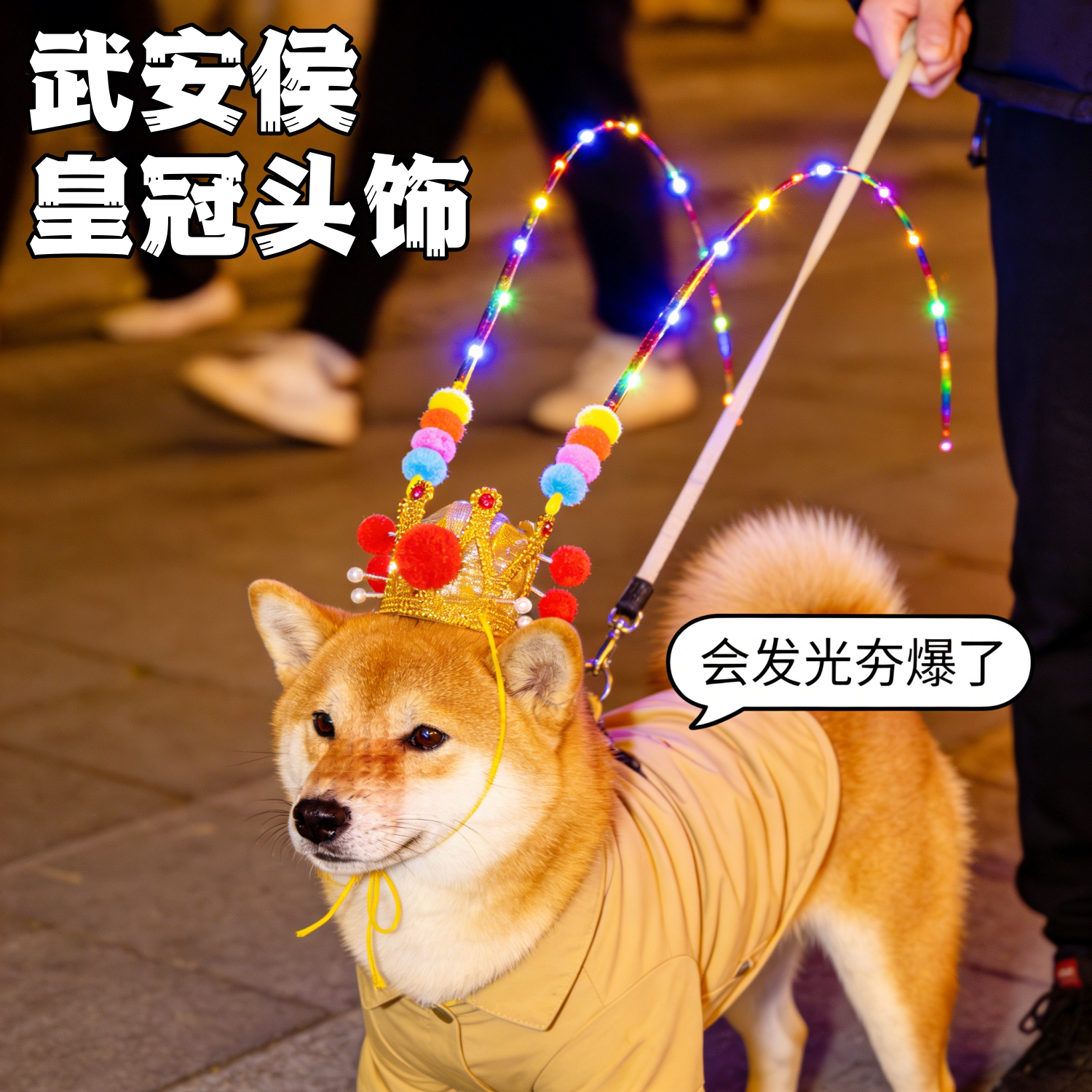 狗狗头冠发光状元帽齐天大圣头冠猫咪帽子带灯武安侯头饰宠物玩具
