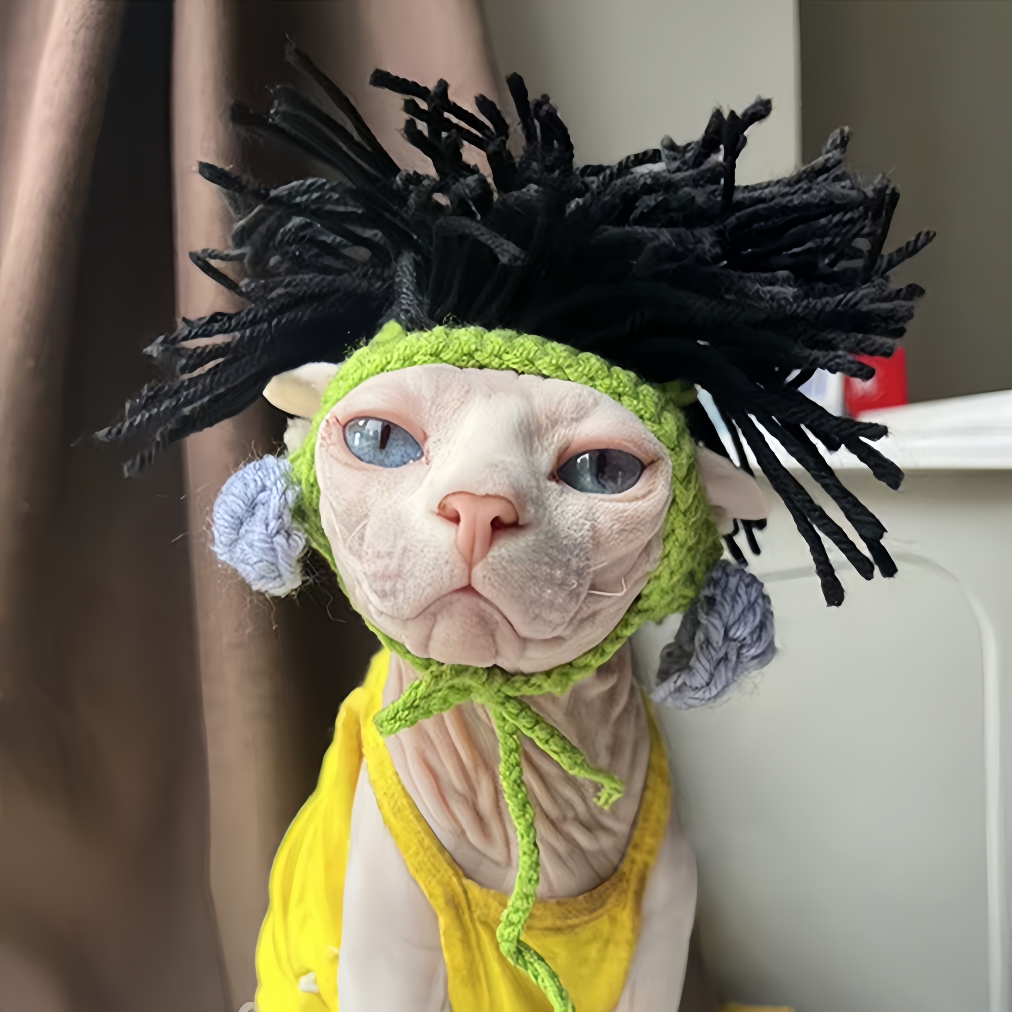 变装斯芬克斯摇滚风狗狗猫咪德文