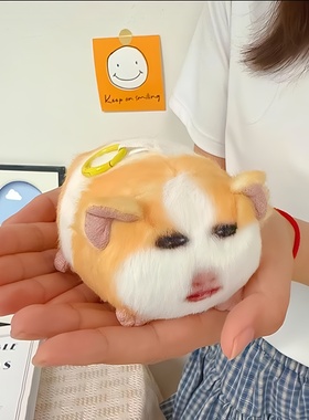 仙女下凡荷兰猪表情包猪妞玩偶挂件毛绒玩具录音发声公仔生日礼物