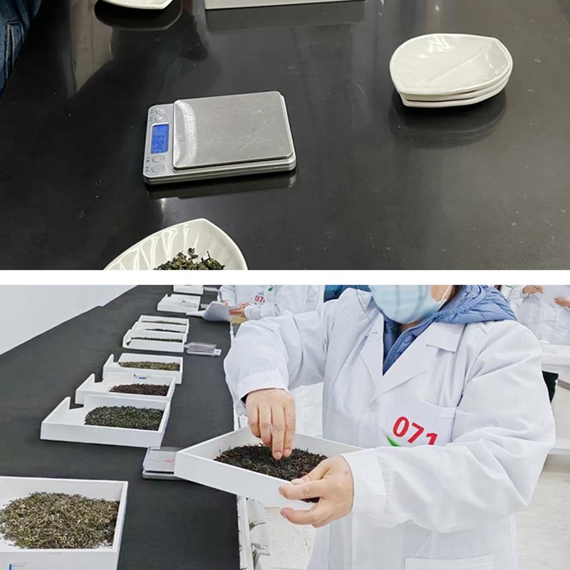 茶叶SC称量器具审评USB充电电子秤0.1g秤茶用具斗茶比赛评茶员用