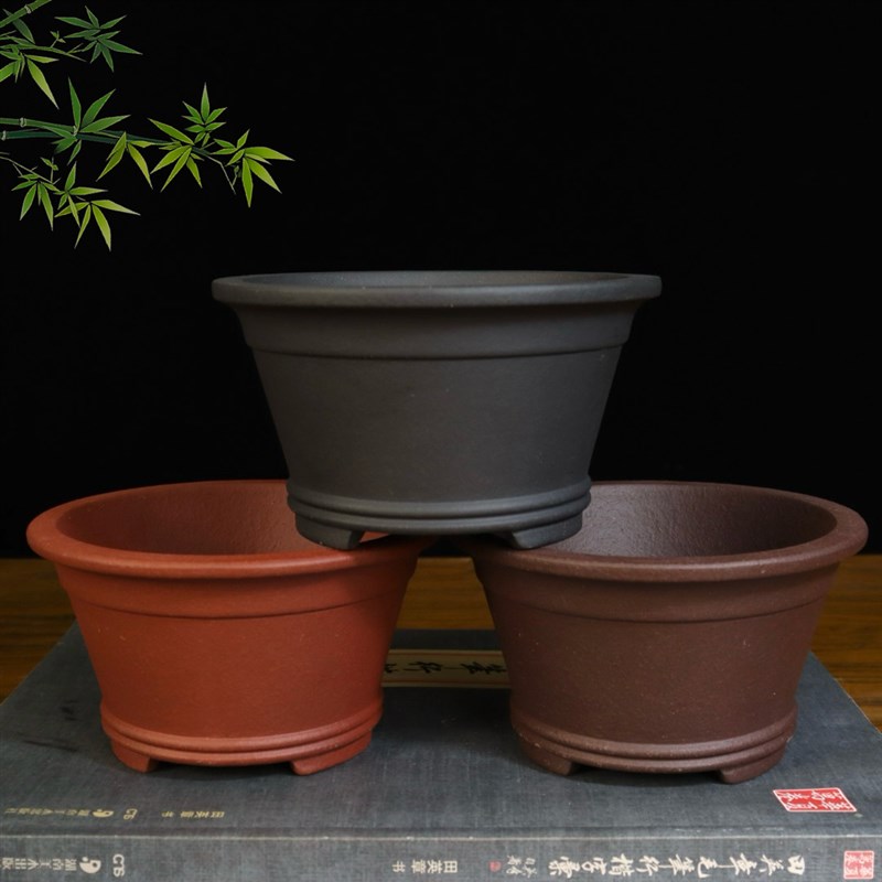 精品紫砂小花盆绿植多肉盆景盆栽盆菖蒲云竹金弹子专用盆圆斗笠盆