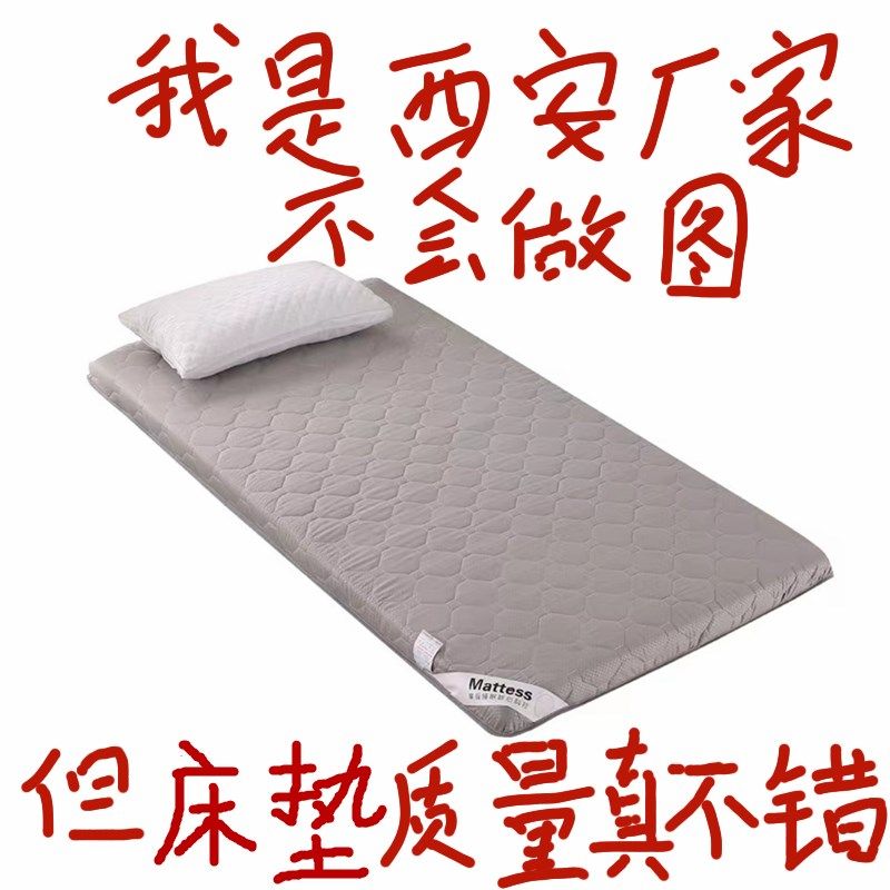 冬季绒面毯子铺床厚珊瑚绒床垫软垫防滑学生宿舍床褥垫毛毯法兰绒