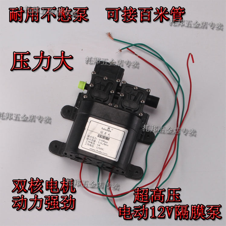 农用电动喷雾器专用隔膜双泵核电动机头12V打药机高压回流大动力