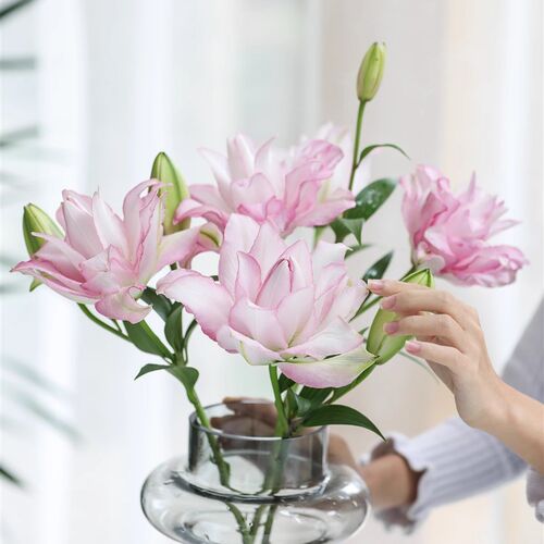 云南昆明鲜花基地直发玫瑰花水养百合花束鲜切花向日葵花材真插花