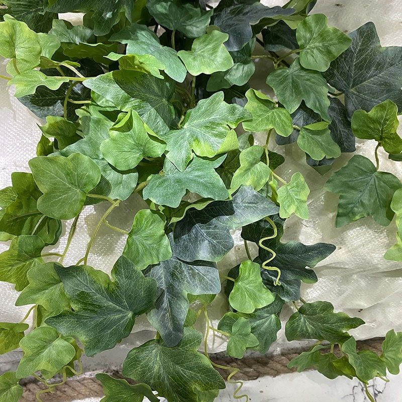 仿真常春藤吊藤灰绿地瓜叶爬山虎吊兰壁挂藤条植物墙花箱橱窗装饰